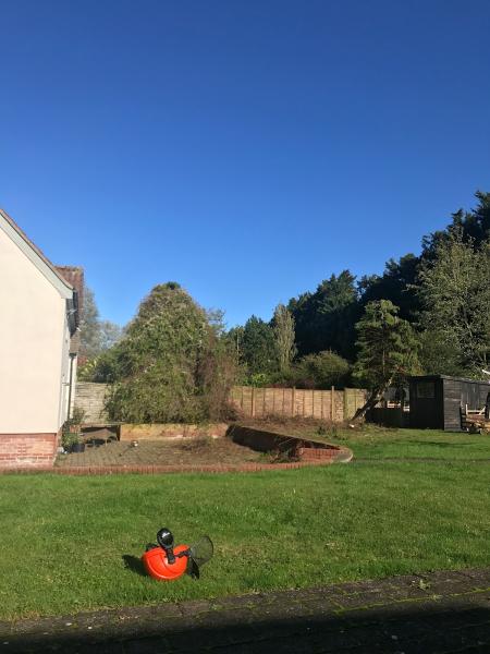 JW Tree Surgery & Gardens