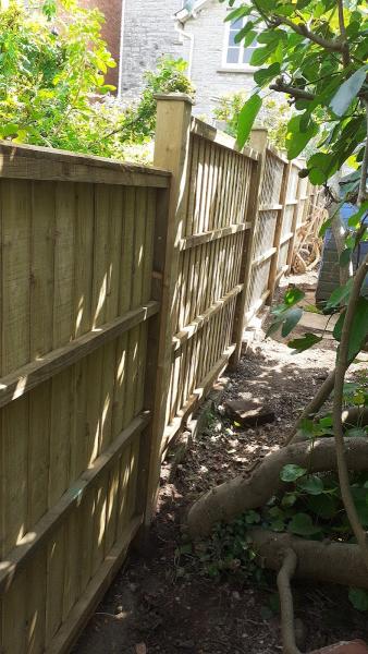 Pitney Fence and Landscape