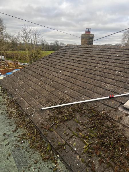 McIntosh Property Services