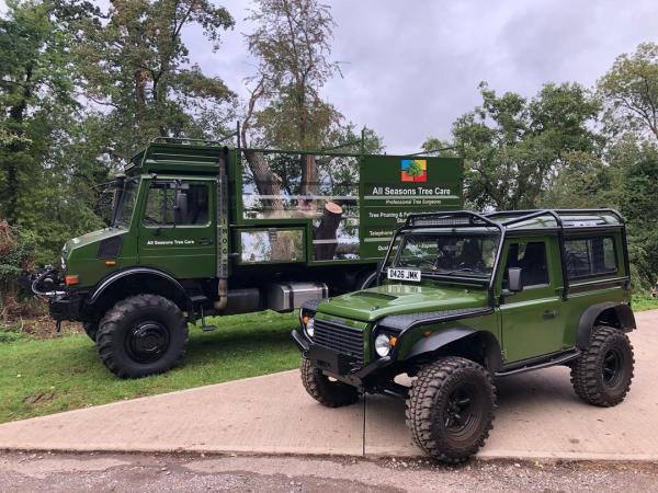 All Seasons Tree Care