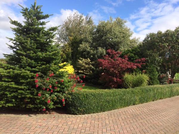 Thorntree Tree Services