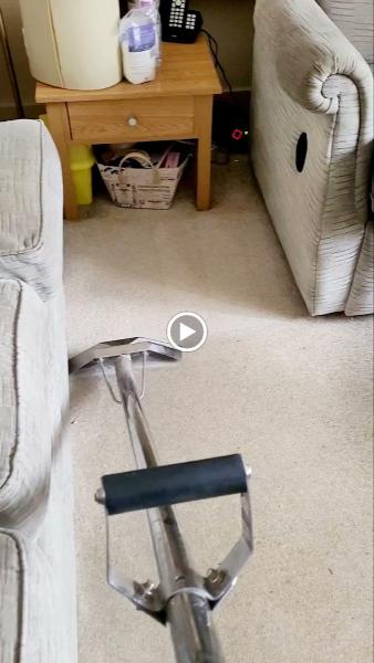 The Carpet Cleaning Lady