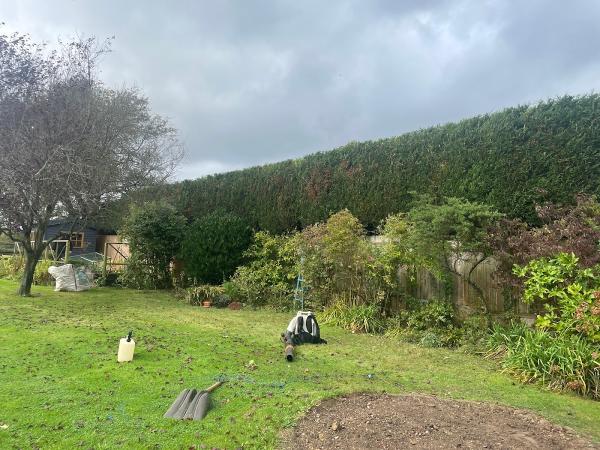 Woods Tree and Gardening