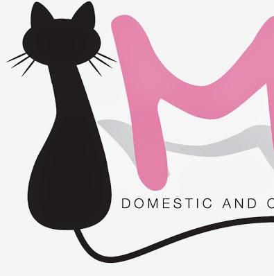 Muse Domestic and Commercial Cleaning Services Ltd