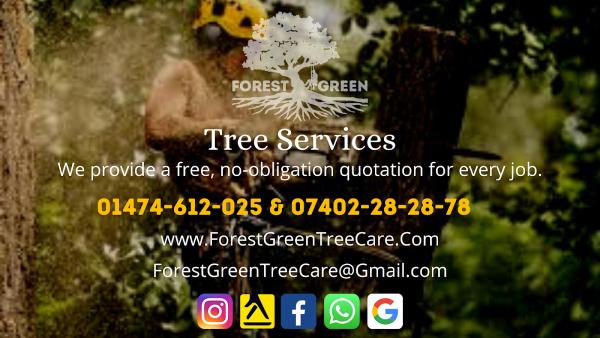Forest Green Tree Care