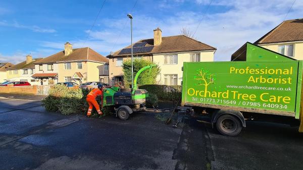 Orchard Tree Care