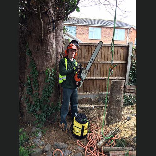 Clarkes Tree Services