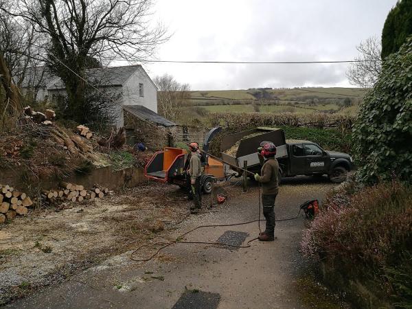 Arbmark Tree Care