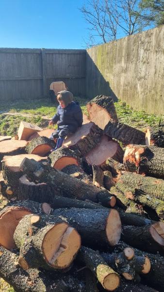 Arbmark Tree Care