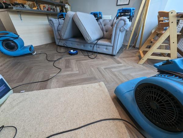 ACS Professional Carpet & Upholstery Cleaning