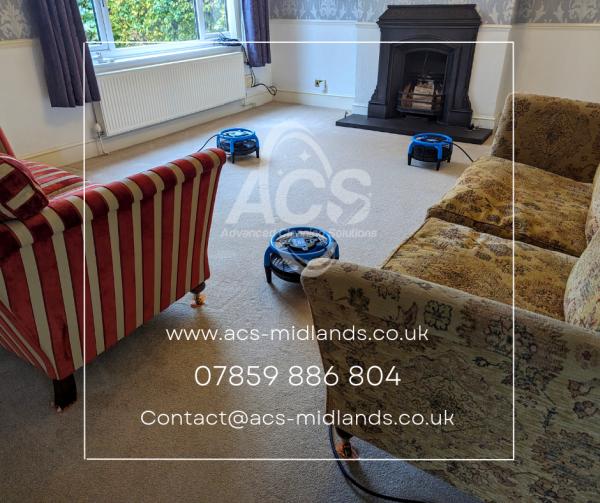 ACS Professional Carpet & Upholstery Cleaning