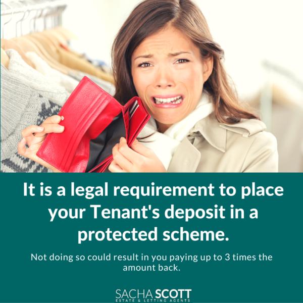 Sacha Scott Estate & Letting Agents