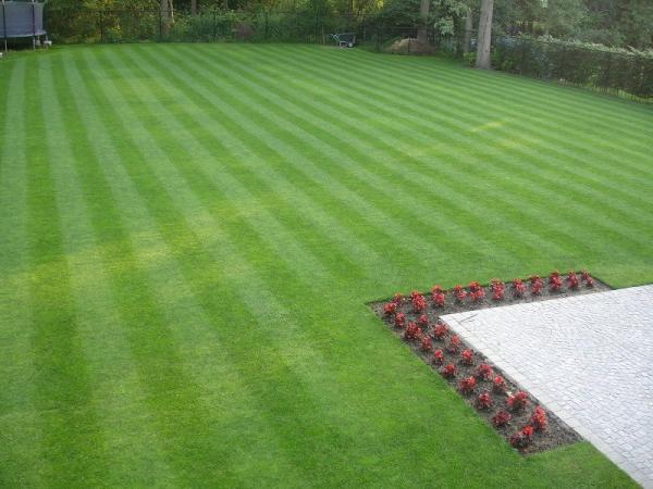 Cheshire Lawn Doctor