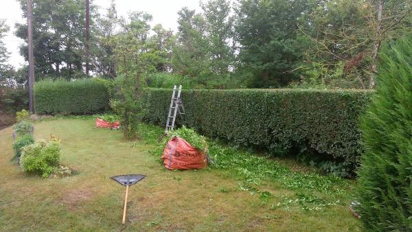 Cultiv-8 Tree & Garden Services