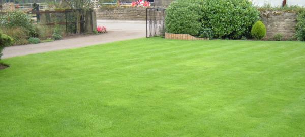 Four Seasons Lawn Care Ltd