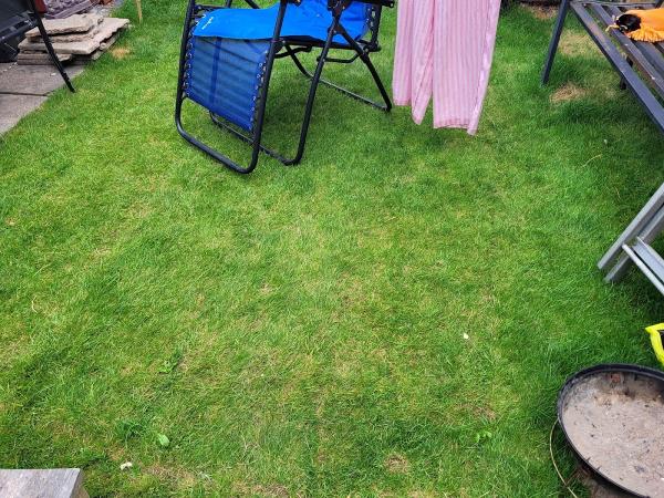 Turf Direct Ltd