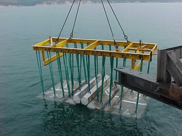 Pipeshield International Ltd