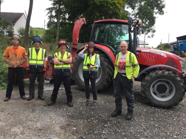 Border Tree Services