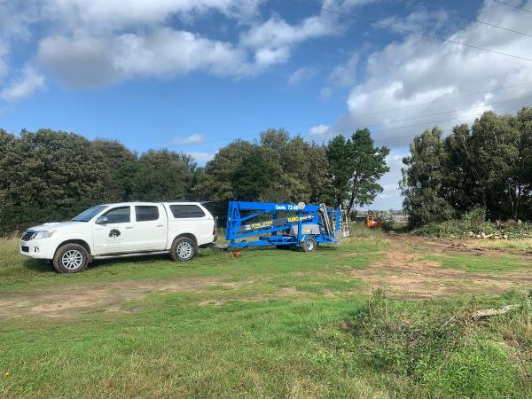 Great Oak Tree Services LTD