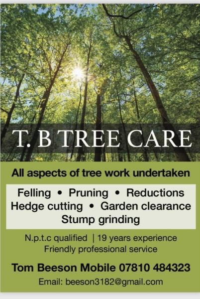 T.B Tree Care