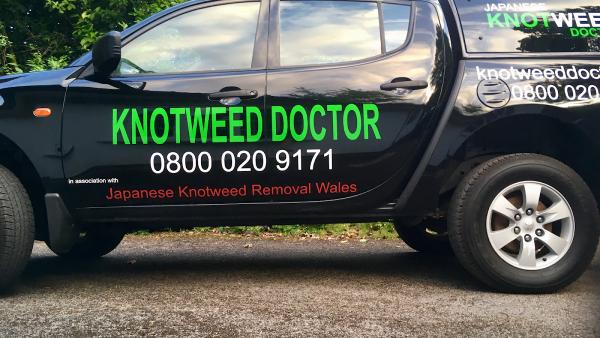 Knotweed Doctor