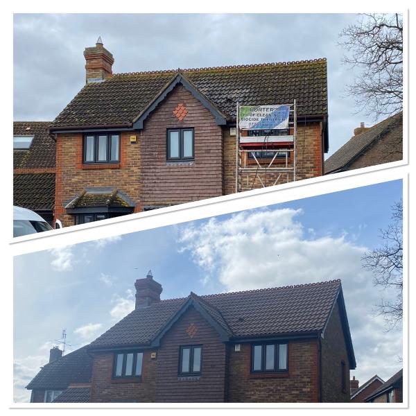 Porters' Roof Cleaning