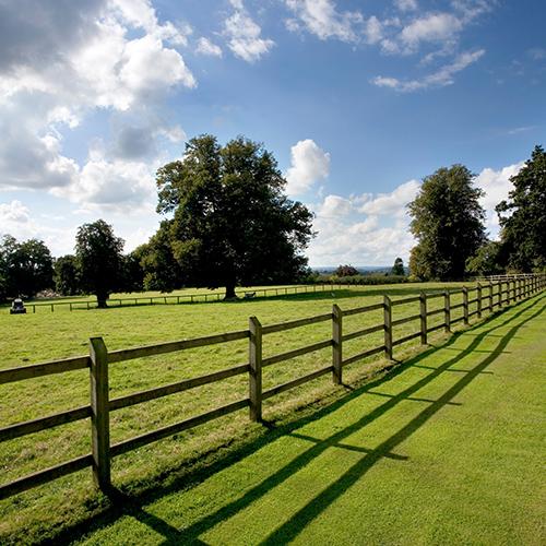 Heartwood Tree Management