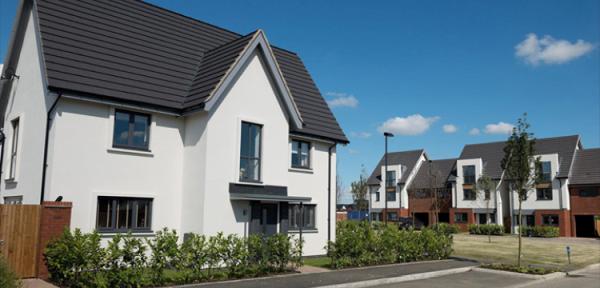 Ellis Plastering Services Ltd