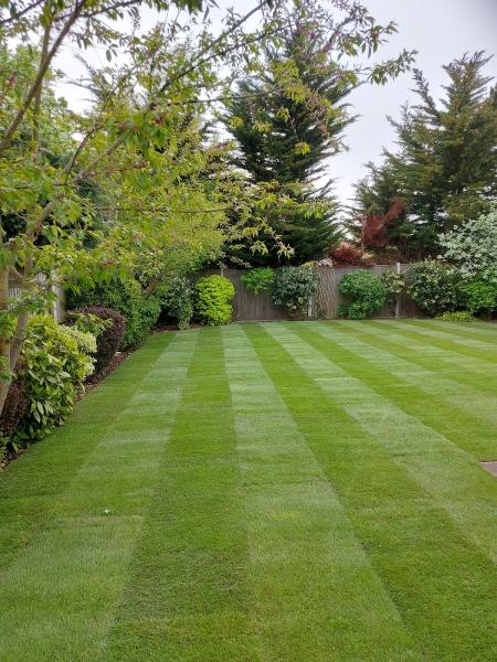 B & P Landscape Gardening and Property Maintenance