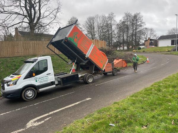 Quinn's Trees & Landscape