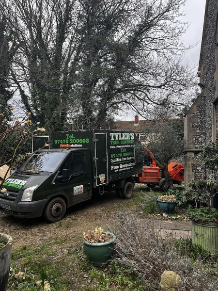 Tyler's Tree Services