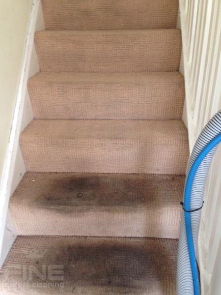 Fine Carpet Cleaning