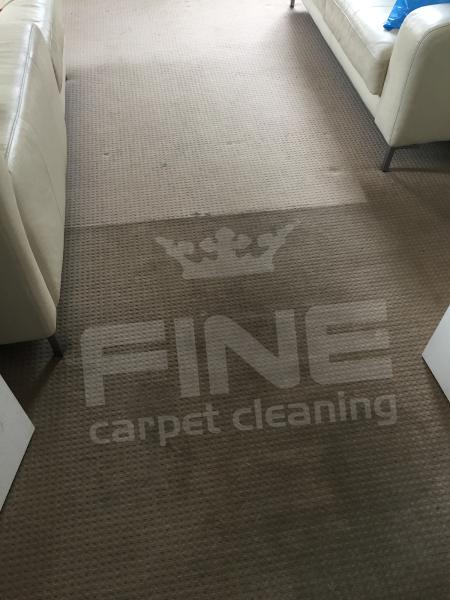 Fine Carpet Cleaning London