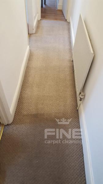 Fine Carpet Cleaning London