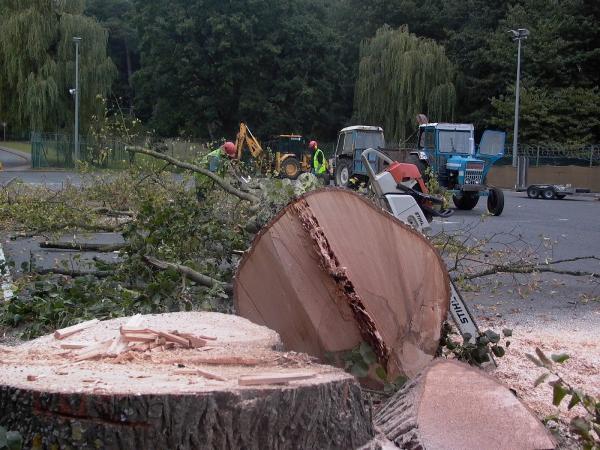 Bawden Tree Care