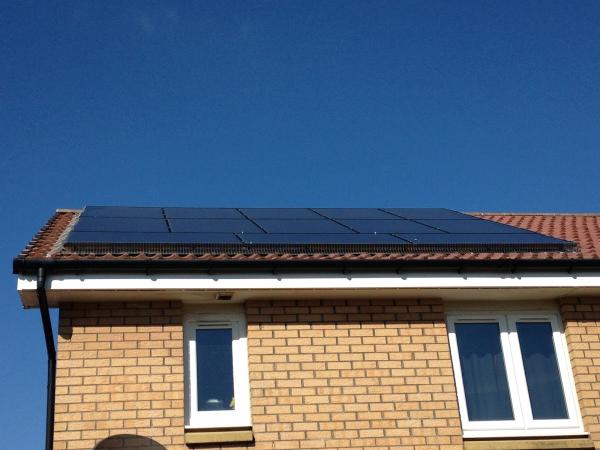 Solar Panel Bird Proofing