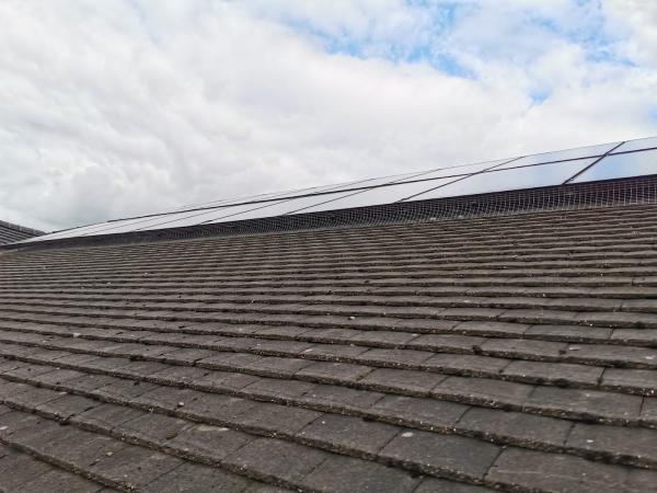 Solar Panel Bird Proofing