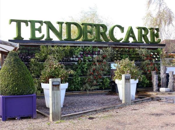 Tendercare Nurseries