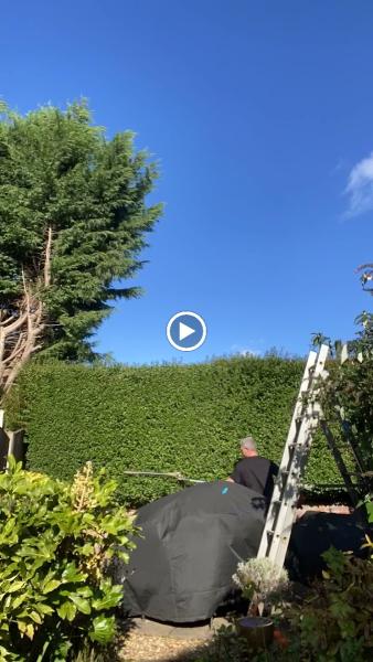 LS Hedges & Tree Services