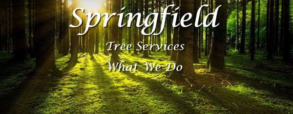 Springfield Tree Services
