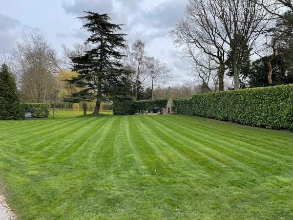 Beaumont's Garden Maintenance