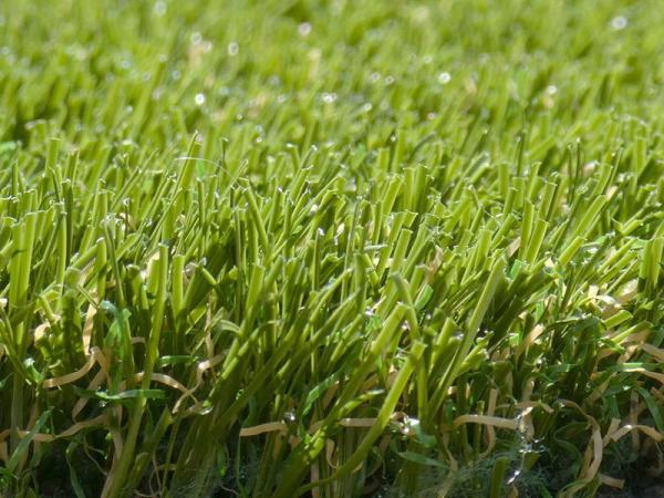 Artificial Grass Cornwall