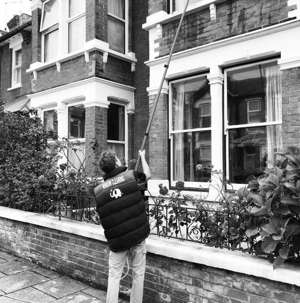 Elephant Window Cleaning