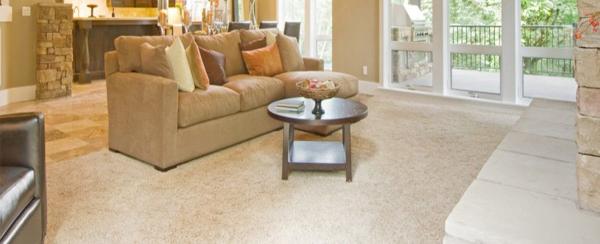 Carpet Cleaning Team