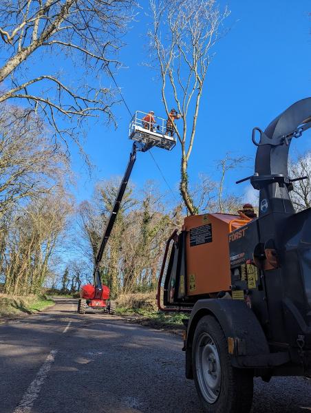 Howells Tree Services