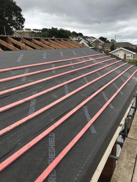 Phillips & Son Roofing