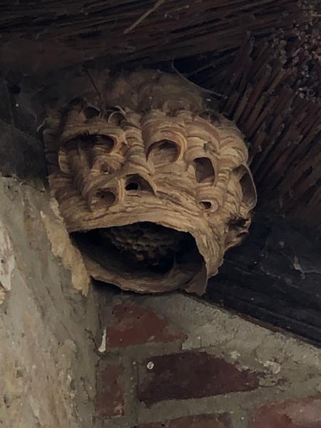 Bug Busters Pest Control