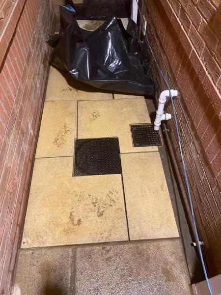 Midland Drain Devils