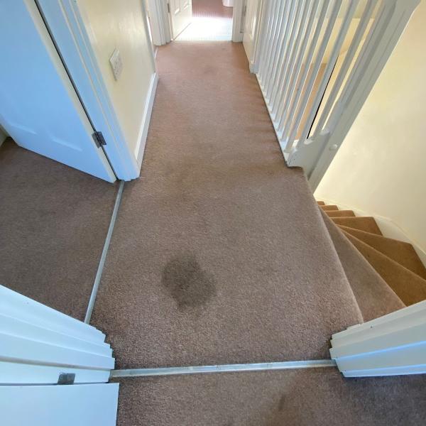 The Carpet Cleaning Professor