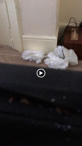 Mighty Pest Control Ltd